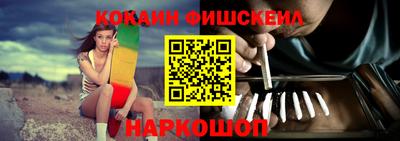 мдпв Камышлов