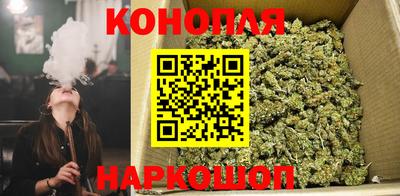 спиды Кандалакша