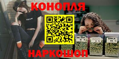 мдпв Камышлов
